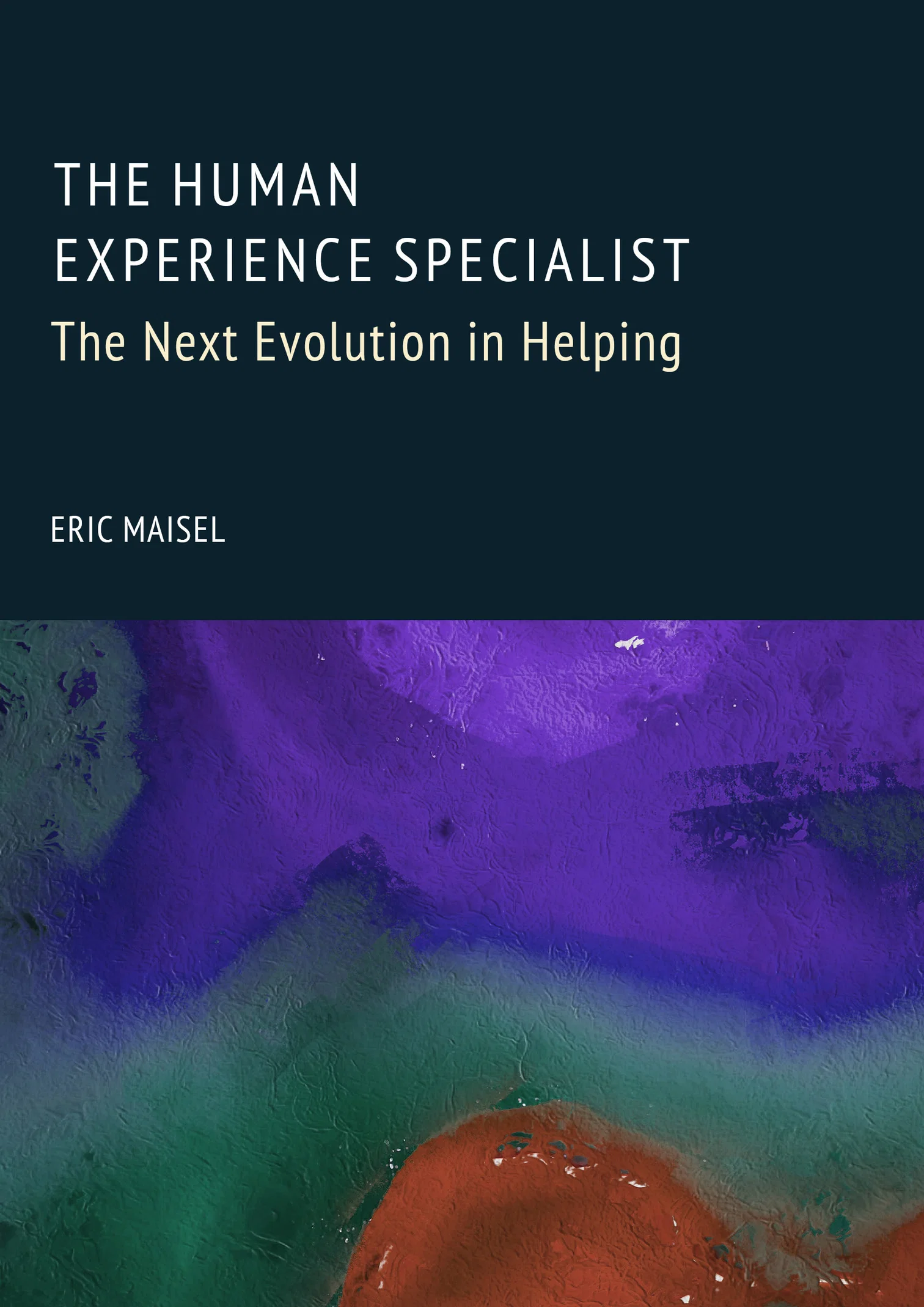 Human Experience Specialist Critiquing the Psychiatric Model